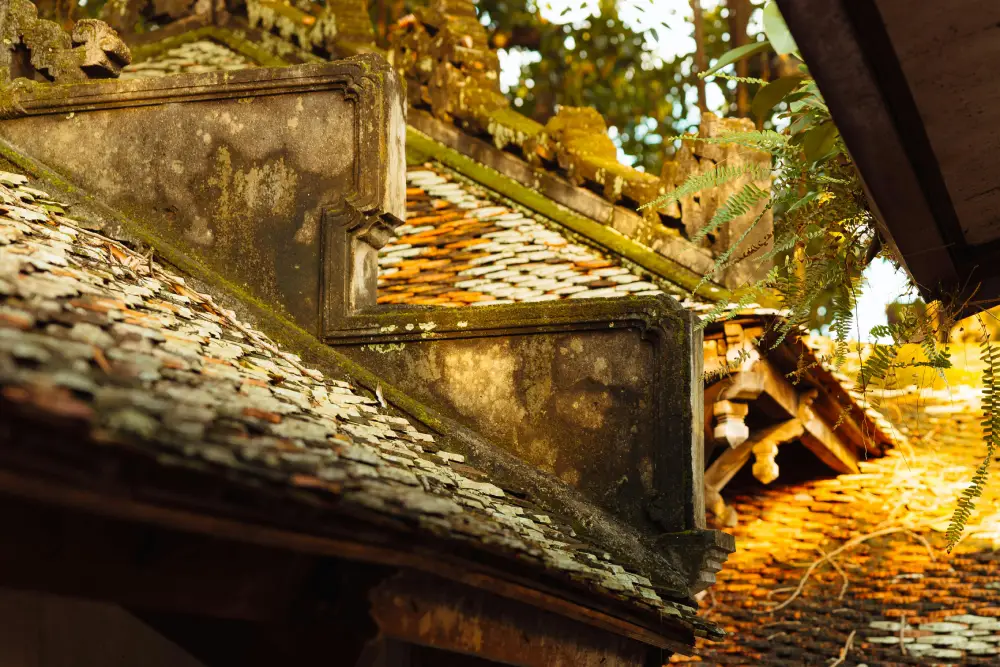 Les 5 Signes qui Indiquent que votre Toiture a Besoin d’une Rénovation Urgente.